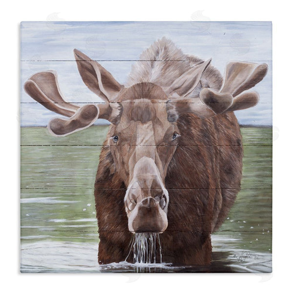 stupell industries Diane Fifer | Rustic Moose in Lake Wall Art