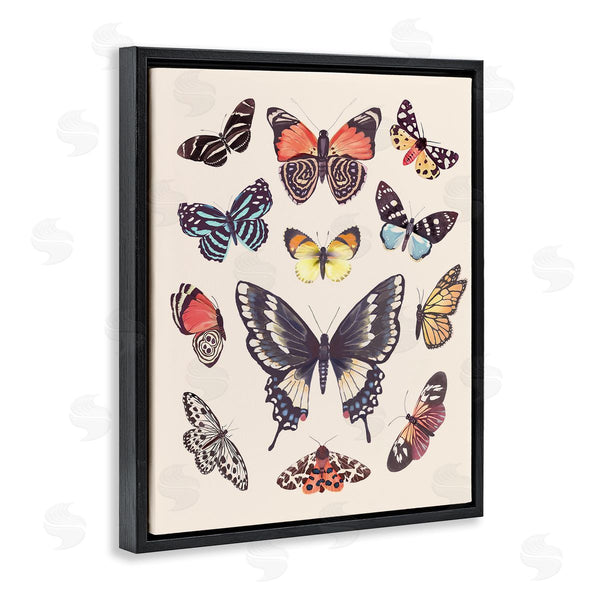 Stupell Industries Diane Neukirch | Cottage Moths & Butterflies Wall Art