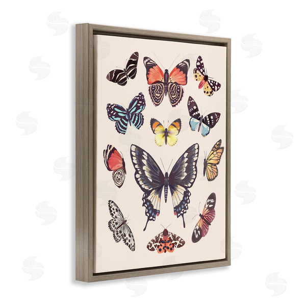 Stupell Industries Diane Neukirch | Cottage Moths & Butterflies Wall Art
