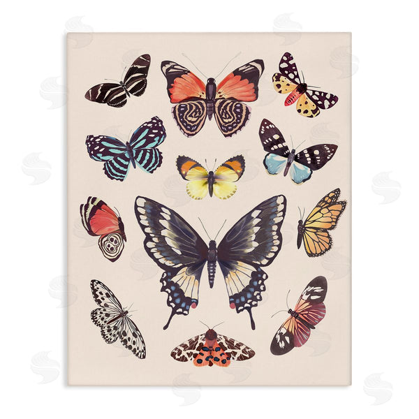 stupell industries Diane Neukirch | Cottage Moths & Butterflies Wall Art