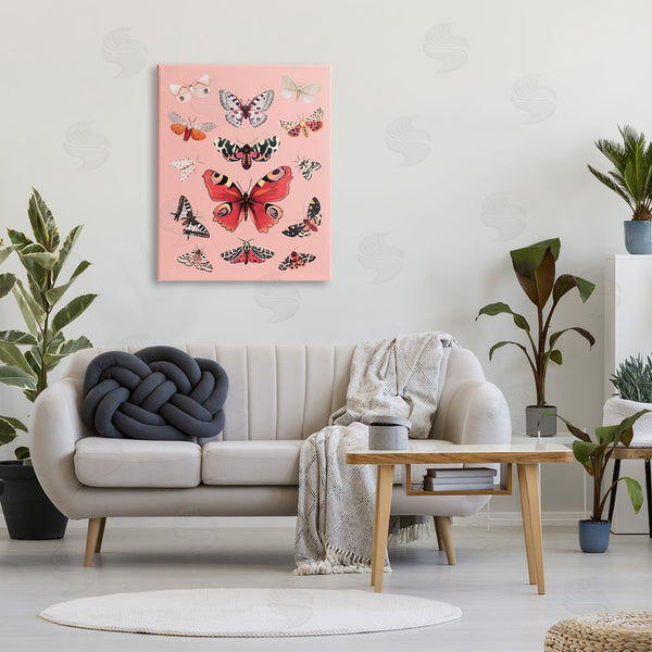 Stupell Industries Diane Neukirch | Various Moths On Pink Wall Art