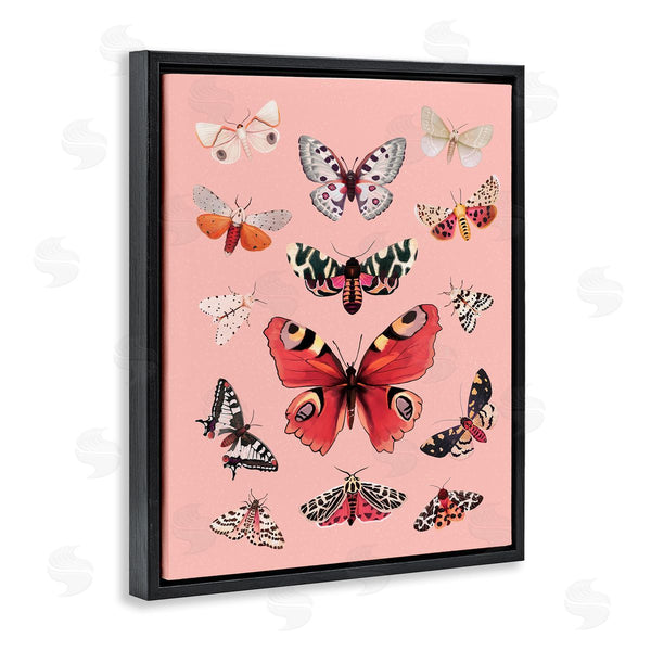 Stupell Industries Diane Neukirch | Various Moths On Pink Wall Art