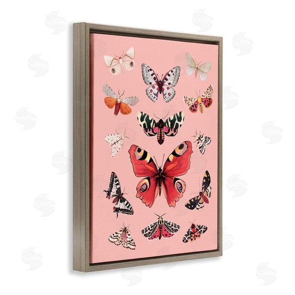 Stupell Industries Diane Neukirch | Various Moths On Pink Wall Art