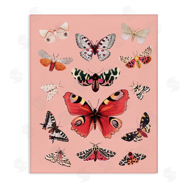 stupell industries Diane Neukirch | Various Moths on Pink Wall Art