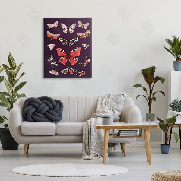 Stupell Industries Diane Neukirch | Vintage Wildlife Moths Wall Art