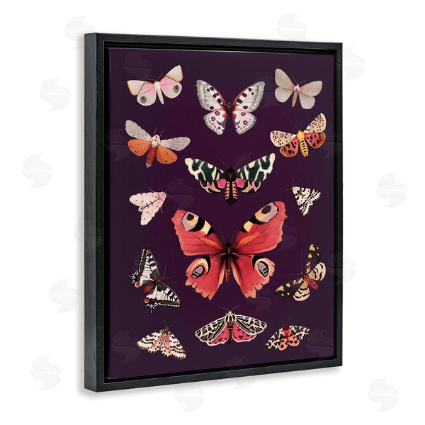 Stupell Industries Diane Neukirch | Vintage Wildlife Moths Wall Art