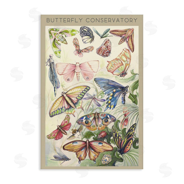 stupell industries Diannart | Butterfly Conservatory Insects Wall Art