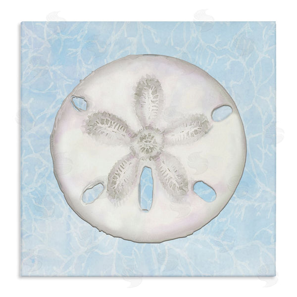 stupell industries Diannart | Sand Dollar Aquatic Waves Pattern Wall Art