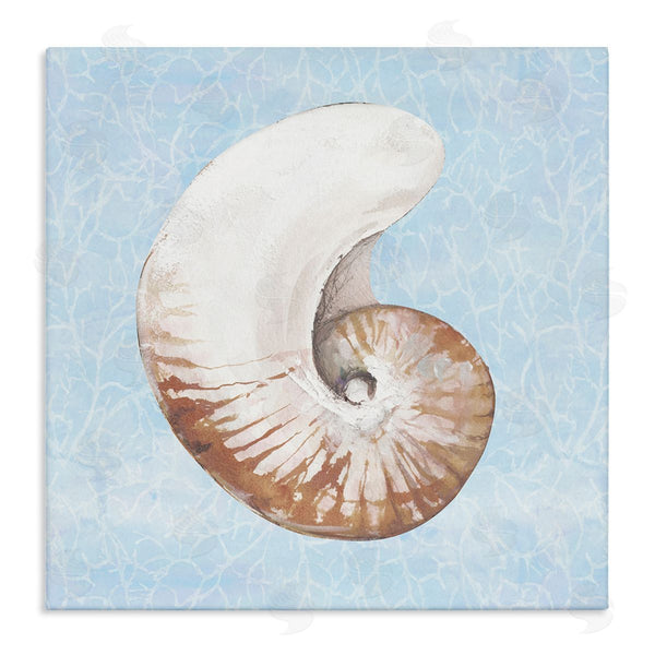 stupell industries Diannart | Sea Life Nautilus Water Pattern Wall Art