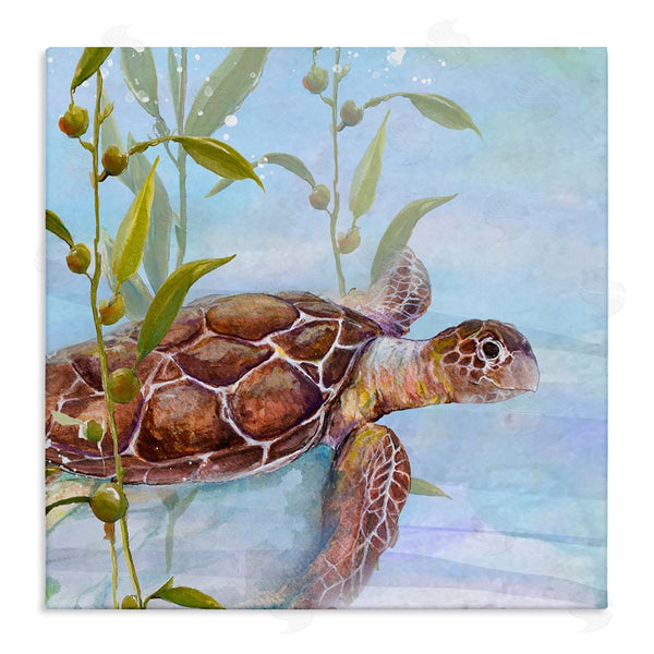stupell industries Diannart | Turtle Swimming Between Reef Wall Art