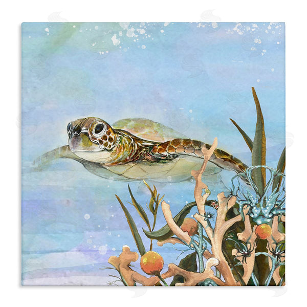 stupell industries Diannart | Underwater Sea Turtle Swimming Wall Art
