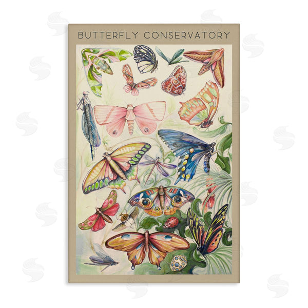stupell industries DIANNART | Vintage Butterfly Conservatory