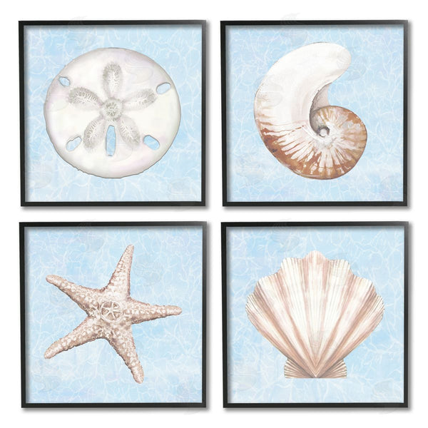 Stupell Industries Diannart | Water Patterned Sea Life Shells Wall Art