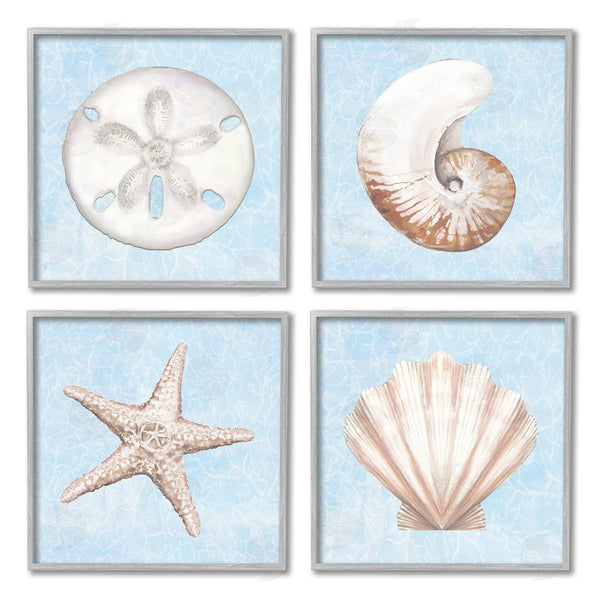 Stupell Industries Diannart | Water Patterned Sea Life Shells Wall Art