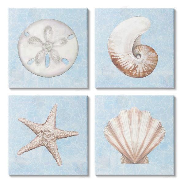 stupell industries Diannart | Water Patterned Sea Life Shells Wall Art