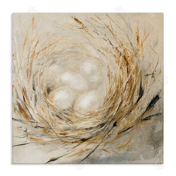 stupell industries Dina D'Argo | Abstract Bird Egg Nest Wall Art