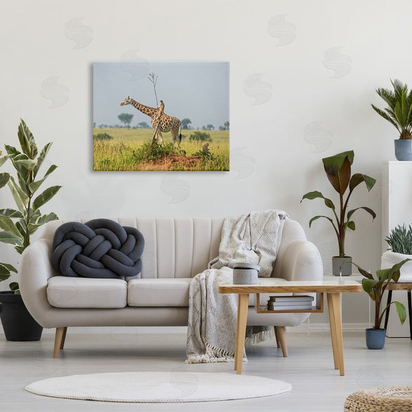 Stupell Industries Dirk Jan Steehouwer | Monkey Riding Giraffe Wall Art