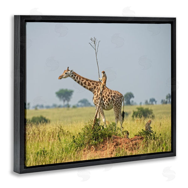Stupell Industries Dirk Jan Steehouwer | Monkey Riding Giraffe Wall Art