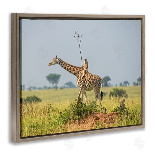 Stupell Industries Dirk Jan Steehouwer | Monkey Riding Giraffe Wall Art