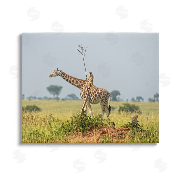 stupell industries Dirk Jan Steehouwer | Monkey Riding Giraffe Wall Art