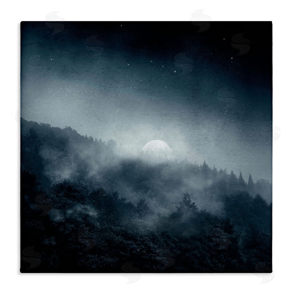 stupell industries Dirk Wustenhagen | Foggy Full Moon Night Sky Wall Art