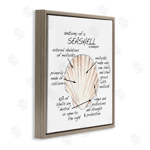Stupell Industries Dishique | Anatomy Of Seashell Educational Marine Life Facts Chart Wall Art