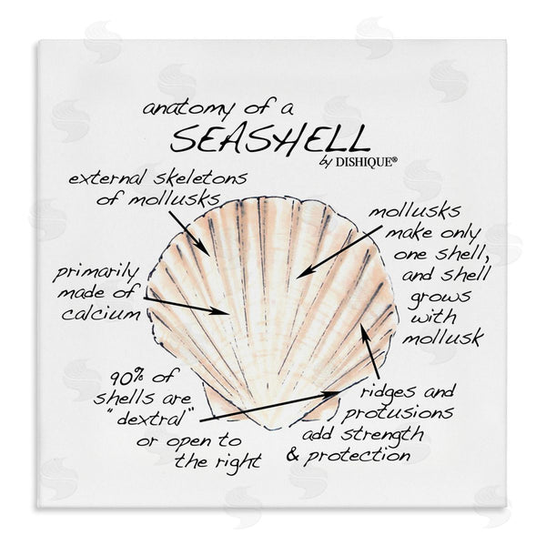 stupell industries Dishique | Anatomy of Seashell Educational Marine Life Facts Chart Wall Art