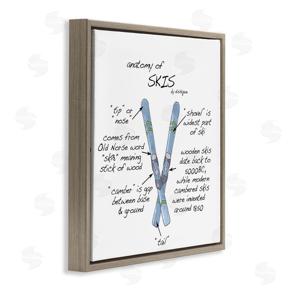 Stupell Industries Dishique | Anatomy Of Skis Winter Sports Diagram Facts Chart Wall Art