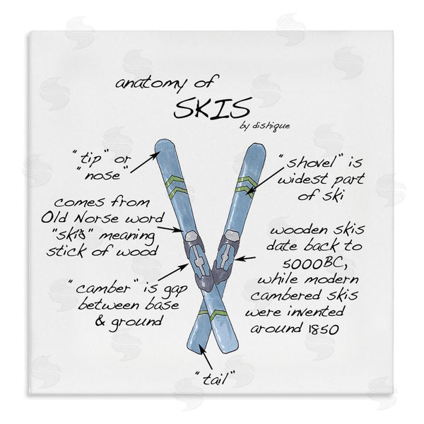 stupell industries Dishique | Anatomy of Skis Winter Sports Diagram Facts Chart Wall Art