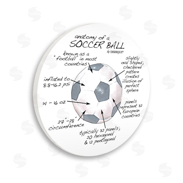 stupell industries Dishique | Anatomy of Soccer Ball Wall Art