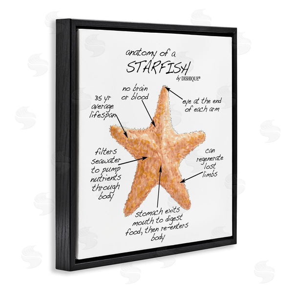 Stupell Industries Dishique | Anatomy Of Starfish Sea Life Wildlife Educational Facts Wall Art