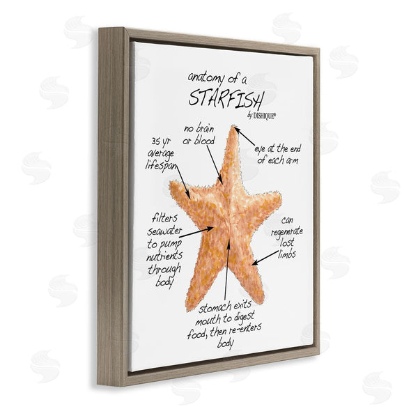 Stupell Industries Dishique | Anatomy Of Starfish Sea Life Wildlife Educational Facts Wall Art