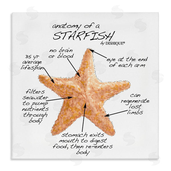 stupell industries Dishique | Anatomy of Starfish Sea Life Wildlife Educational Facts Wall Art