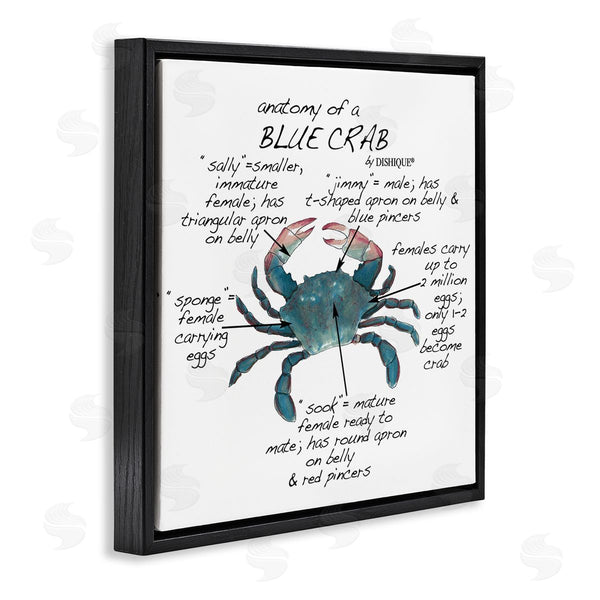 Stupell Industries Dishique | Crab Anatomy Facts Educational Sea Life Diagram Wall Art