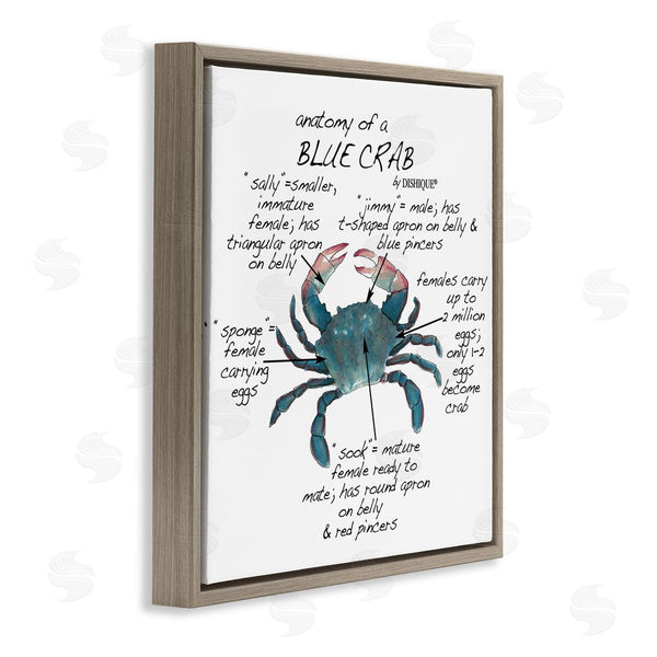 Stupell Industries Dishique | Crab Anatomy Facts Educational Sea Life Diagram Wall Art