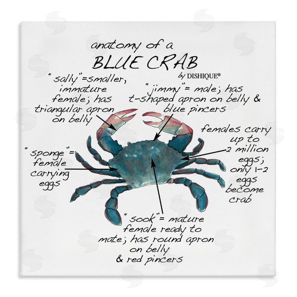 stupell industries Dishique | Crab Anatomy Facts Educational Sea Life Diagram Wall Art
