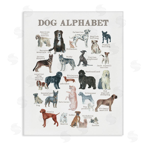 stupell industries Dishique | Dog Alphabet Multiple Breeds Educational Animals Chart Wall Art