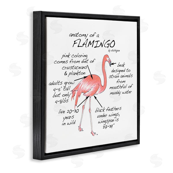 Stupell Industries Dishique | Flamingo Bird Facts Chart Educational Wildlife Animals Wall Art