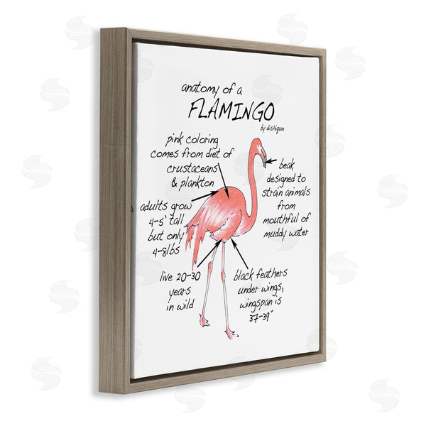 Stupell Industries Dishique | Flamingo Bird Facts Chart Educational Wildlife Animals Wall Art