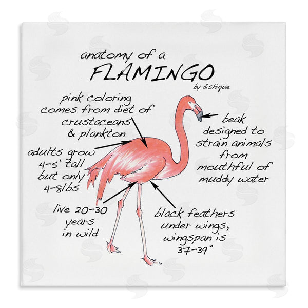 stupell industries Dishique | Flamingo Bird Facts Chart Educational Wildlife Animals Wall Art