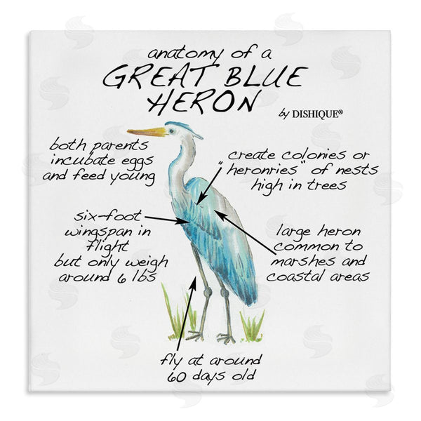 stupell industries Dishique | Great Blue Heron Bird Learning Diagram Wildlife Facts Wall Art