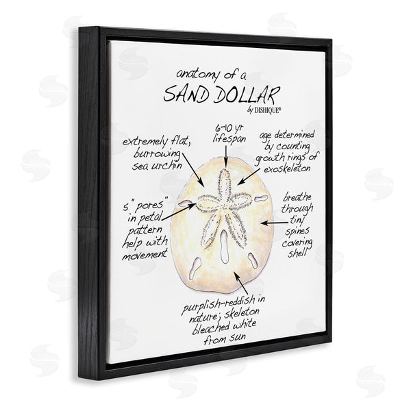 Stupell Industries Dishique | Informative Sand Dollar Learning Chart Nautical Education Wall Art