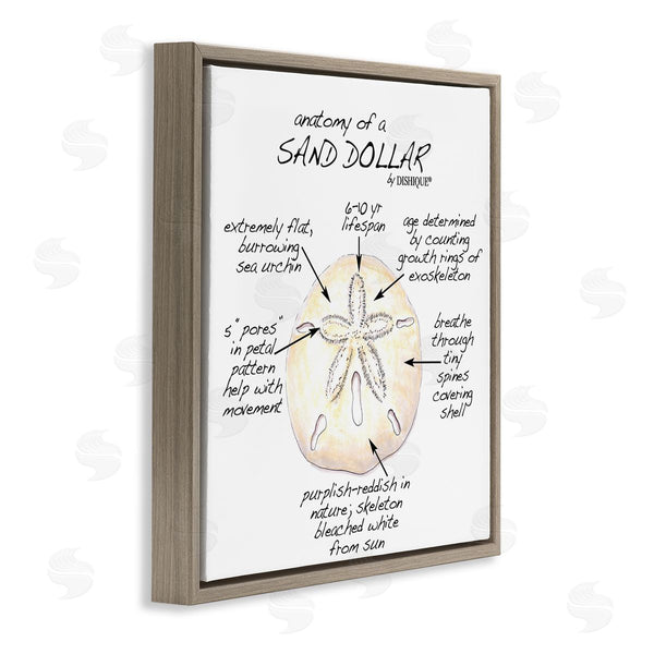 Stupell Industries Dishique | Informative Sand Dollar Learning Chart Nautical Education Wall Art