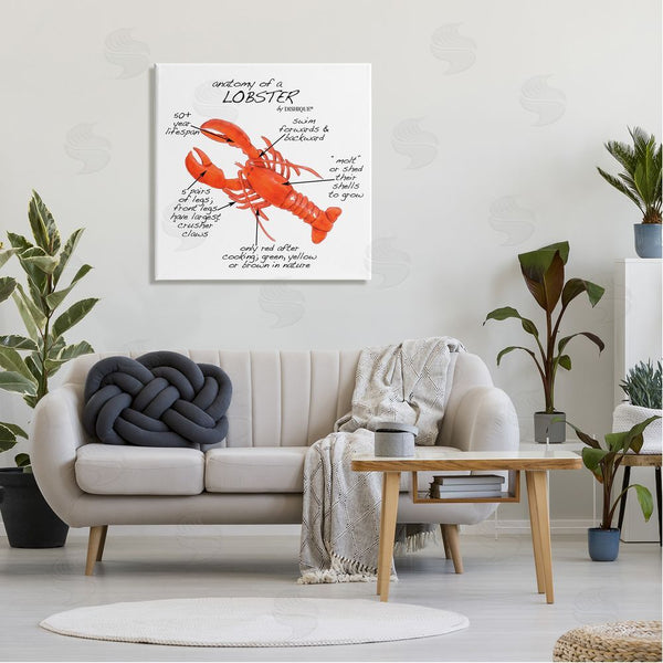 Stupell Industries Dishique | Lobster Anatomy Nautical Sea Life Learning Chart Wall Art