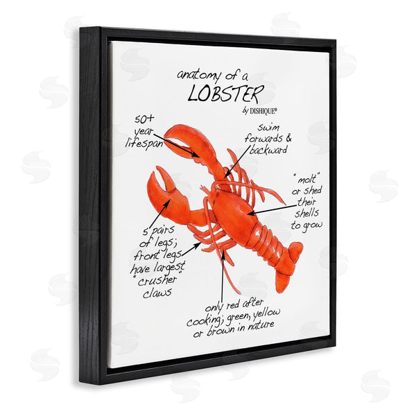 Stupell Industries Dishique | Lobster Anatomy Nautical Sea Life Learning Chart Wall Art