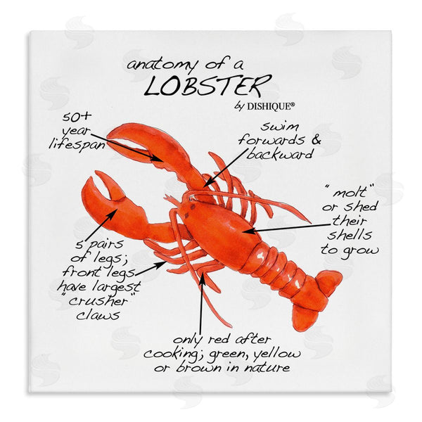 stupell industries Dishique | Lobster Anatomy Nautical Sea Life Learning Chart Wall Art