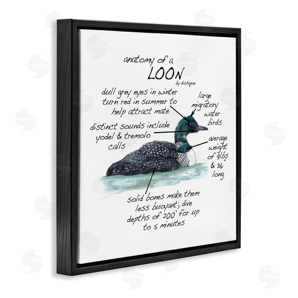 Stupell Industries Dishique | Loon Water Bird Anatomy Chart Educational Wildlife Facts Wall Art