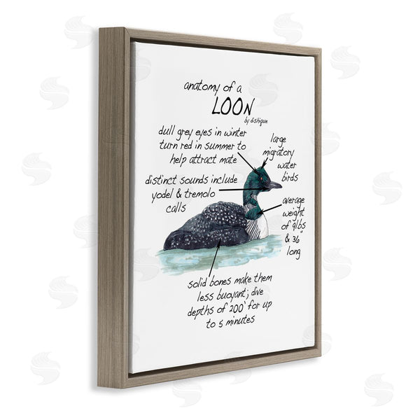 Stupell Industries Dishique | Loon Water Bird Anatomy Chart Educational Wildlife Facts Wall Art