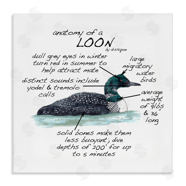stupell industries Dishique | Loon Water Bird Anatomy Chart Educational Wildlife Facts Wall Art