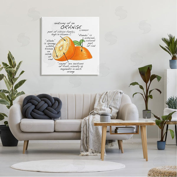 Stupell Industries Dishique | Orange Citrus Fruit Chart Informative Learning Diagram Wall Art